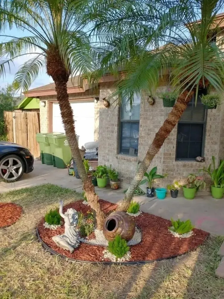 Trusted yard cleanup service for year-round maintenance across Manor, TX - Jenny's Beauty garden