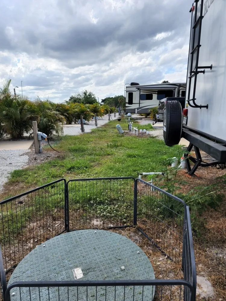 Local yard maintenance in Okeechobee, FL by Jen's Handy Cleaning