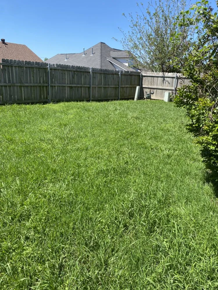 Top-rated lawn care service experts serving Oklahoma City, OK - Jens Lawn Care