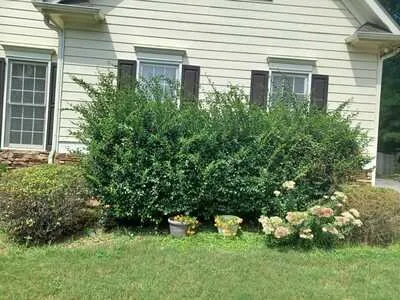 Custom lawn mowing service in Acworth, GA - Jens' Lawn Services