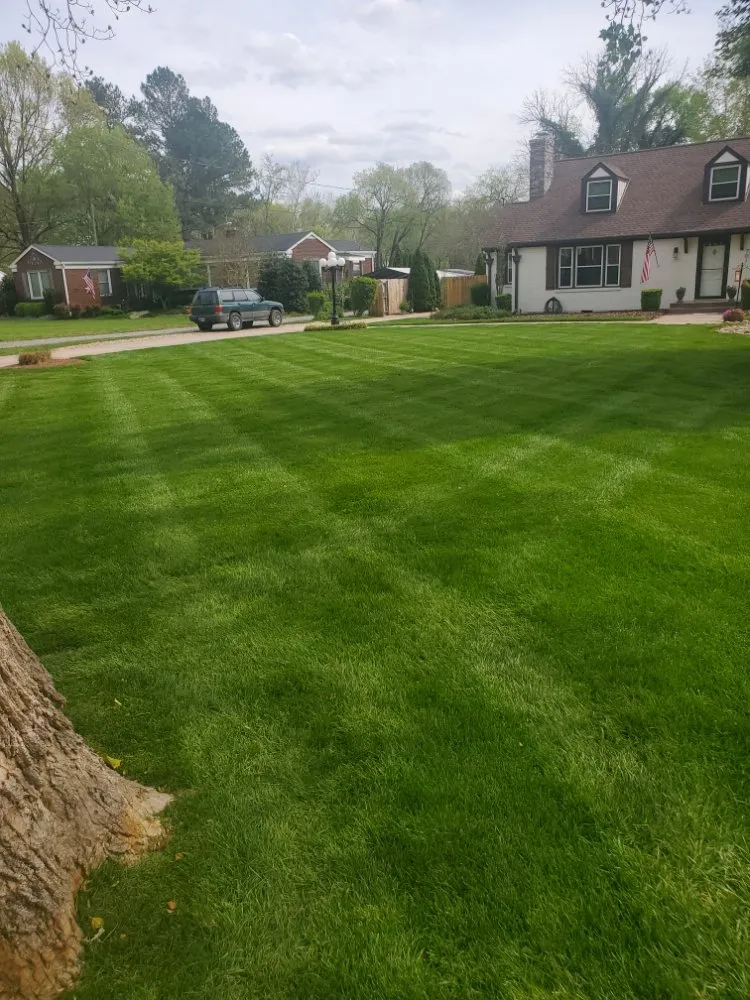 Local yard cleanup service experts serving Lafayette, TN - Jense Landscaping Service