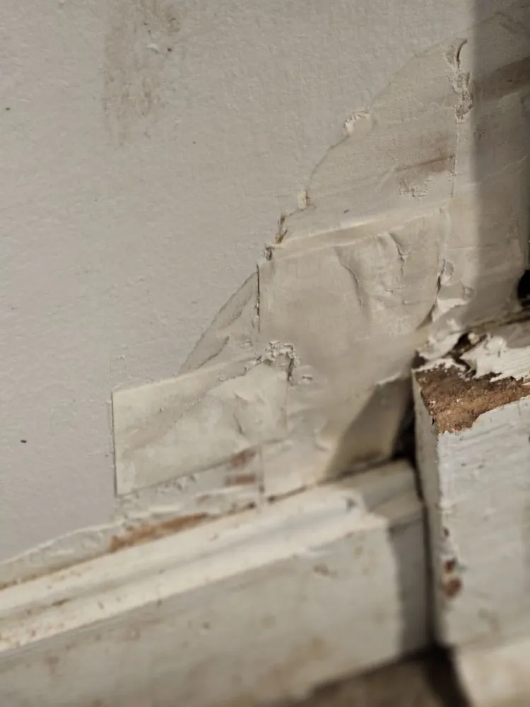 Expert yard maintenance for beautiful yards across Cortland, NY - Jensen Drywall and Paint