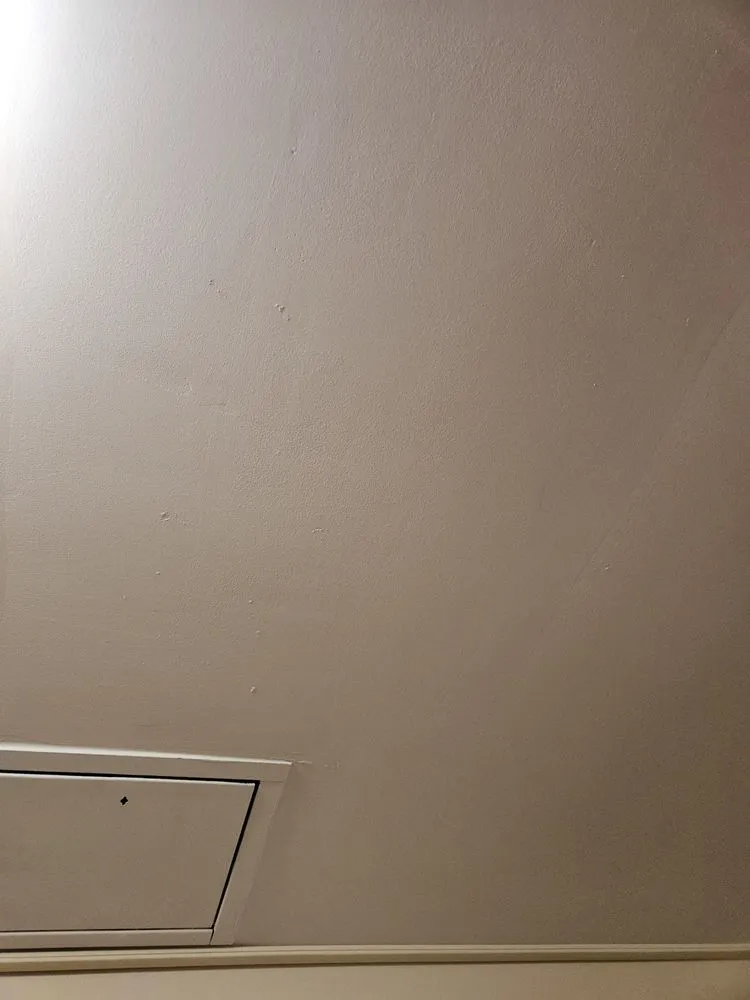 Professional yard maintenance in Cortland, NY by Jensen Drywall and Paint