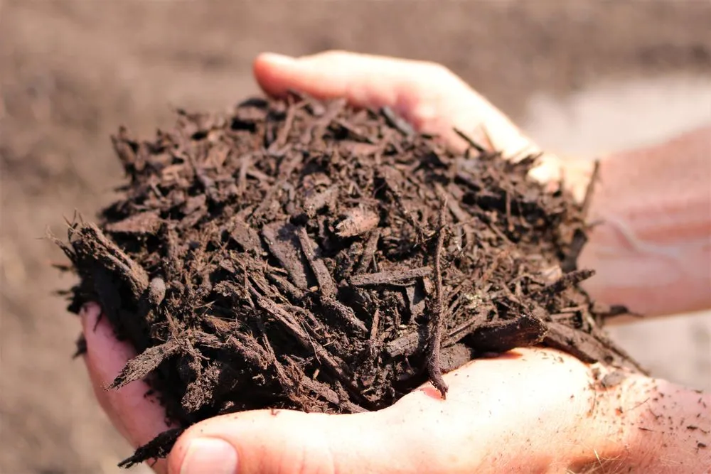 Trusted lawn care service experts serving Springfield, NE - Jensen Gardens