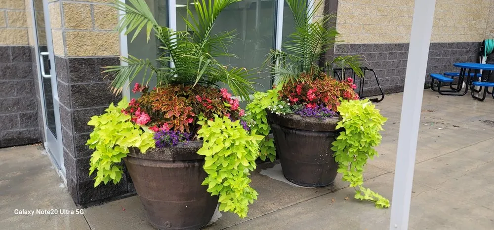 Top-rated landscaping services experts serving Springfield, NE - Jensen Gardens