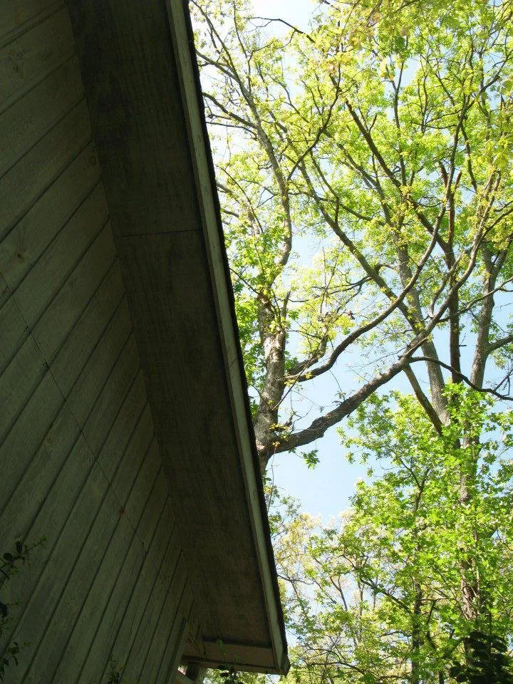 Local lawn care service in Connelly Springs, NC by Jensen Lawn & Landscaping and Tree Service