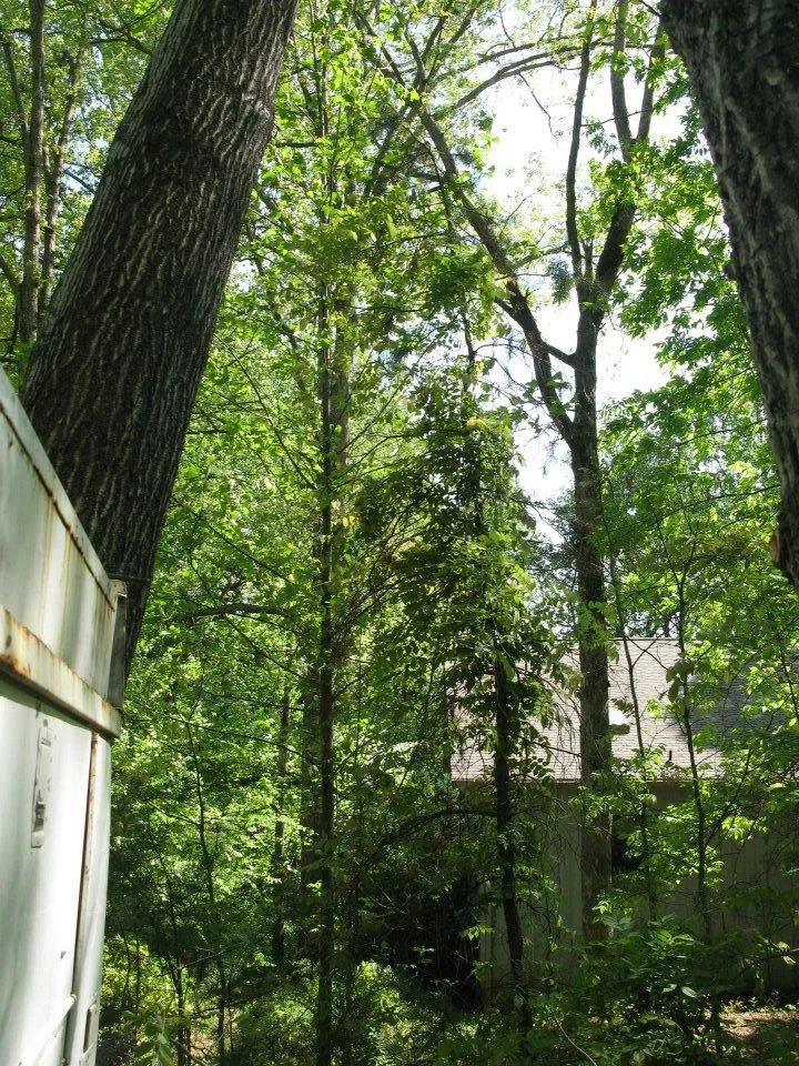 Affordable outdoor landscaping experts serving Connelly Springs, NC - Jensen Lawn & Landscaping and Tree Service