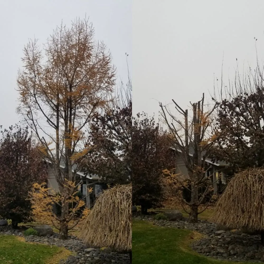 Local outdoor landscaping near you in Othello, WA by Jensen Lawn Care