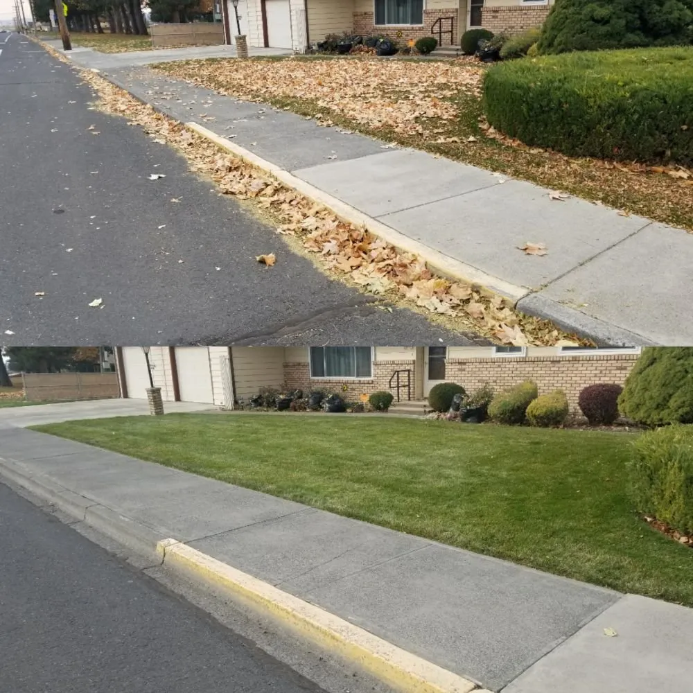 Professional yard cleanup service experts serving Othello, WA - Jensen Lawn Care