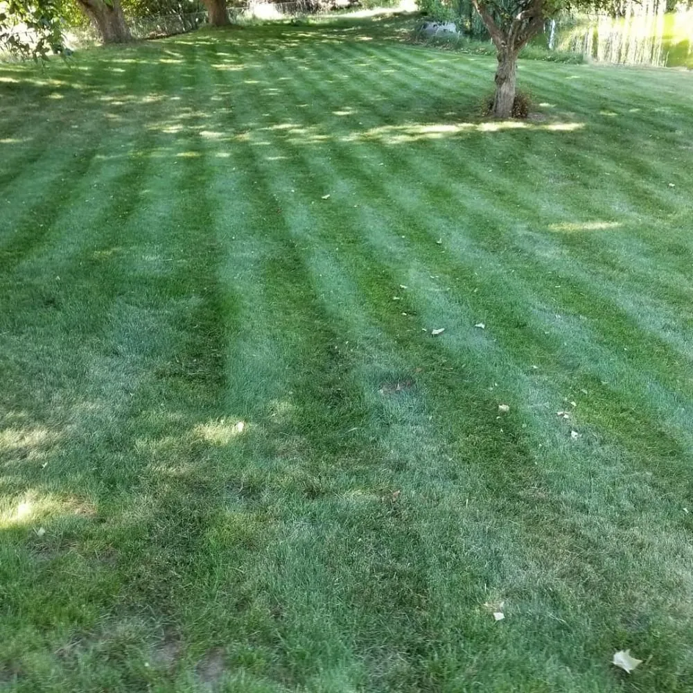 Professional yard maintenance for beautiful yards in Othello, WA by Jensen Lawn Care