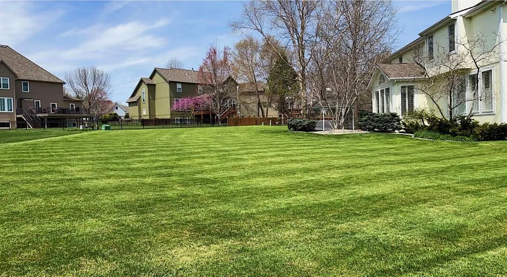 Professional yard cleanup service in Olathe, KS by Jensen Mowing