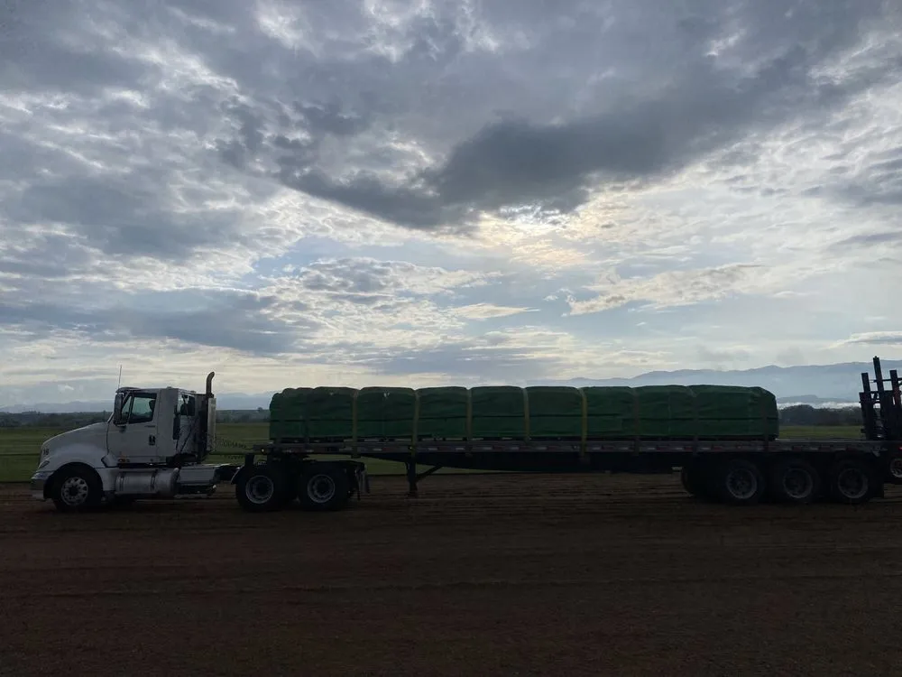 Trusted residential landscaping for beautiful yards in Weston, ID by Jensen Turf