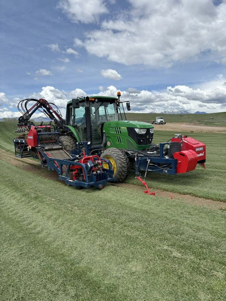 Custom landscape installation for beautiful yards in Weston, ID by Jensen Turf