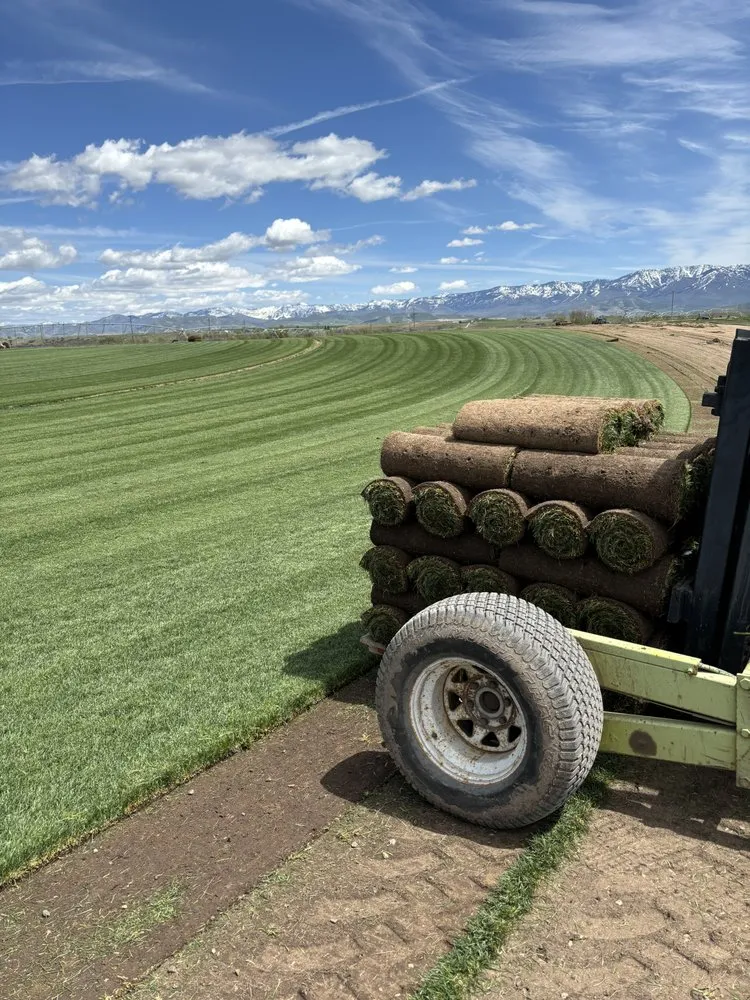 Local landscaping services for outdoor upgrades across Weston, ID - Jensen Turf