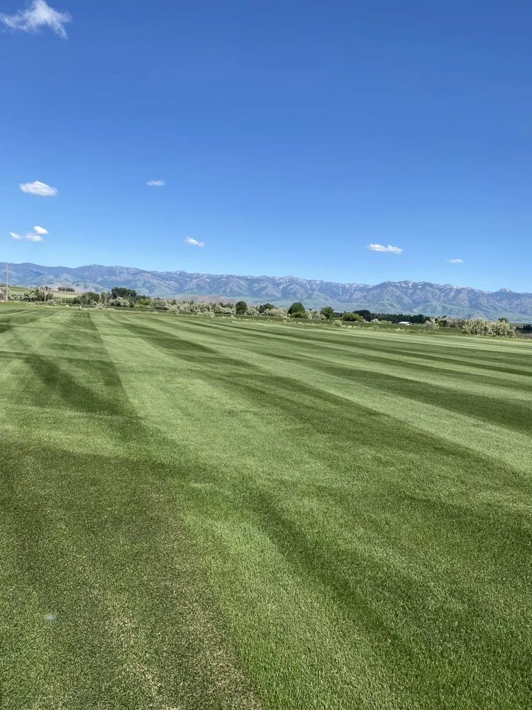 Trusted residential landscaping with custom design across Weston, ID - Jensen Turf