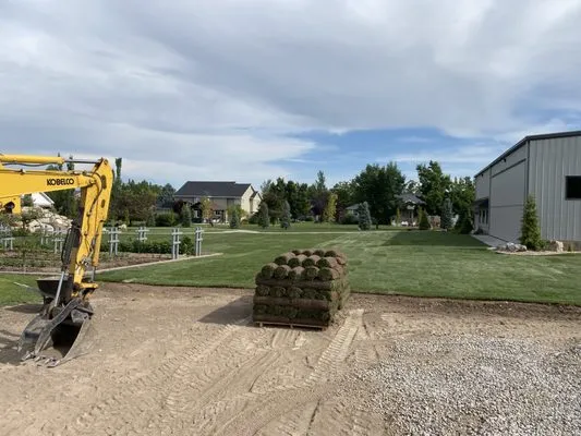 Jensen Turf