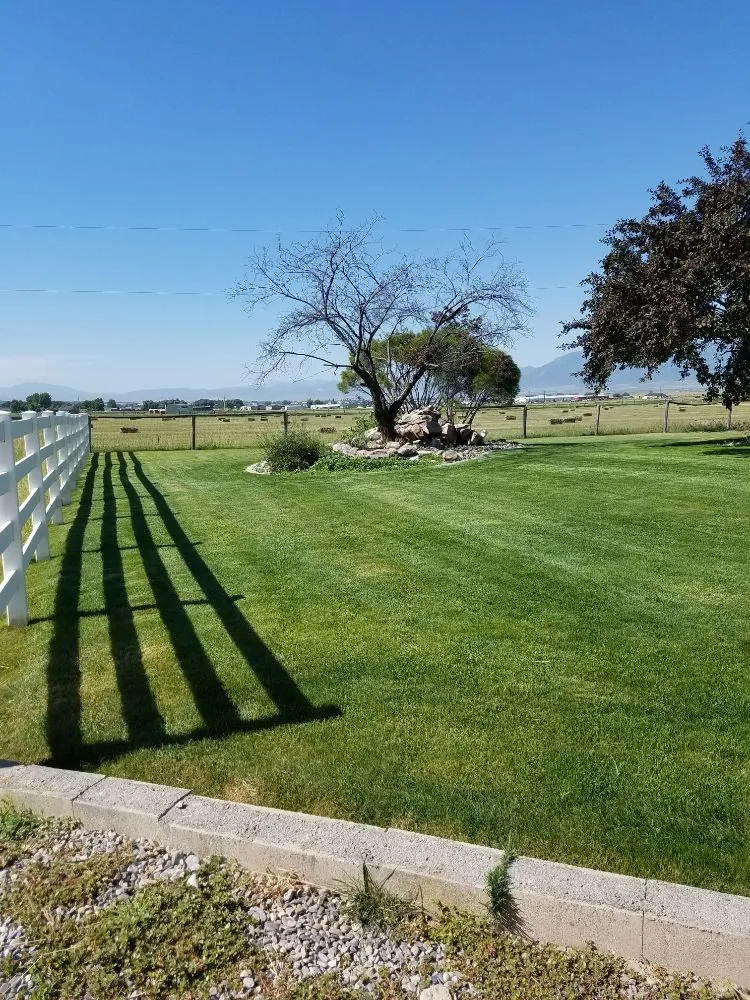 Top-rated yard maintenance near you across Logan, UT - Jenson Lawn Services