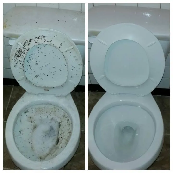 Expert garden landscaping in Fayetteville, NC by JenxNet Cleaning Solutions