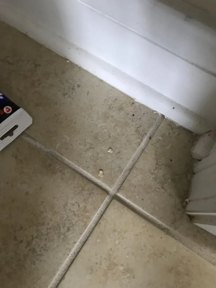 Affordable landscape design in Fayetteville, NC by JenxNet Cleaning Solutions