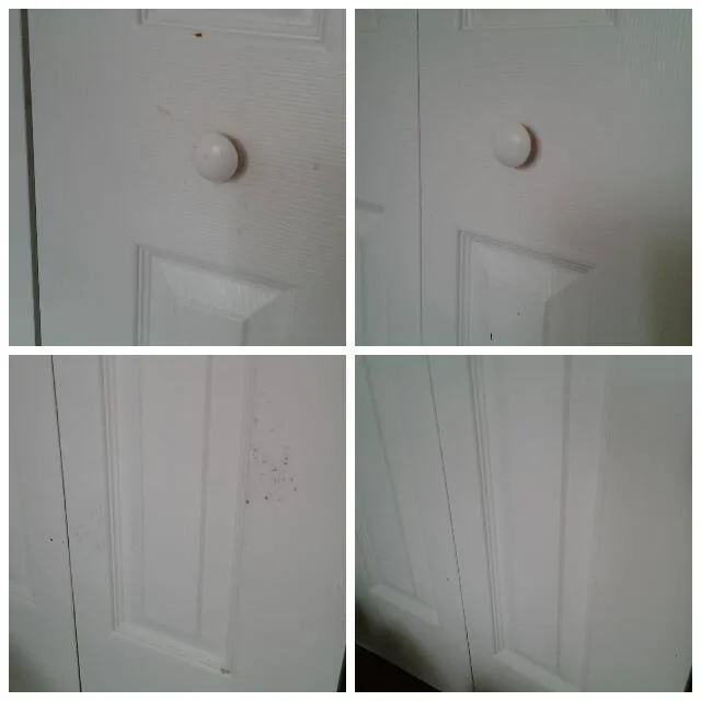 Custom landscape design for outdoor upgrades in Fayetteville, NC by JenxNet Cleaning Solutions