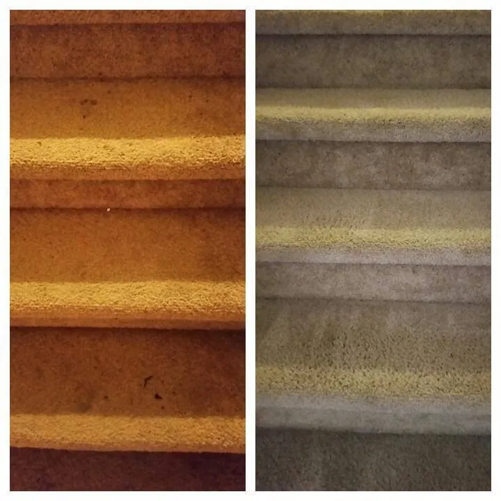 Top-rated lawn care service in Fayetteville, NC - JenxNet Cleaning Solutions