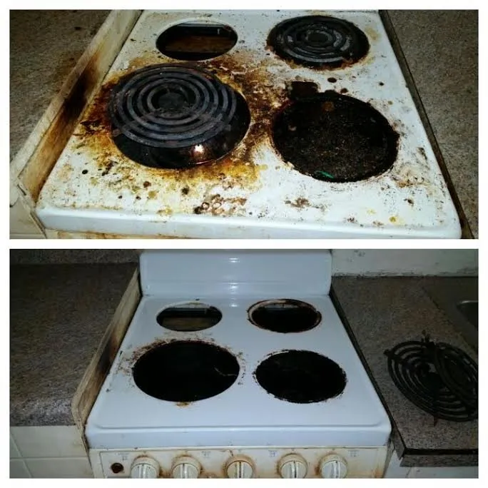 Professional landscaping services for year-round maintenance across Fayetteville, NC - JenxNet Cleaning Solutions