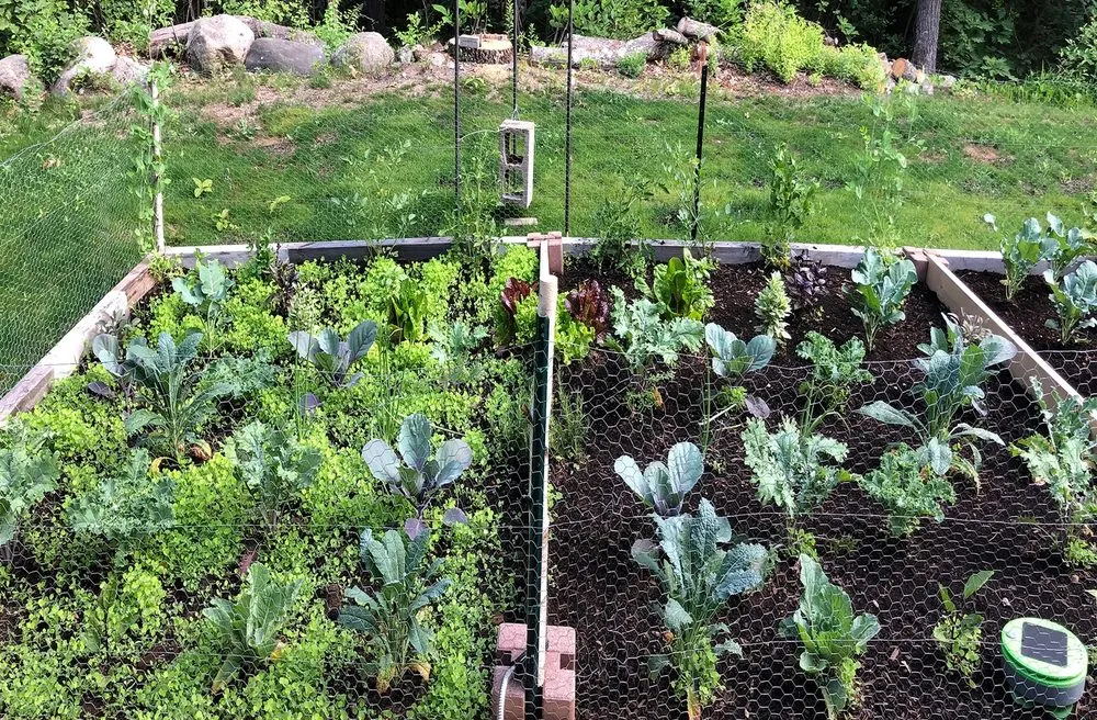 Top-rated landscaping services experts serving Mount Kisco, NY - Jeovanny's Home Solutions