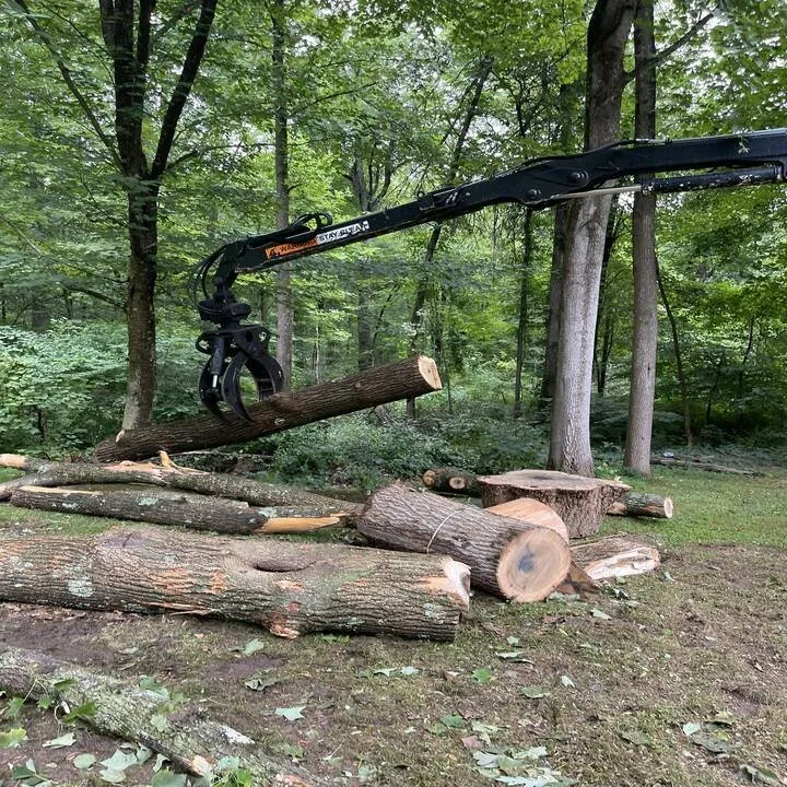 Affordable yard cleanup service in Bedford Hills, NY - Jeovany's Tree Service