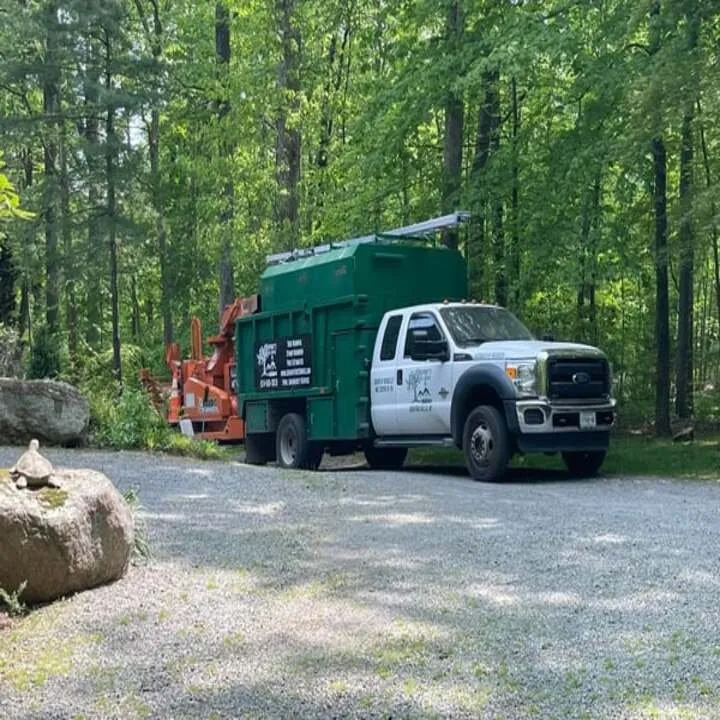 Top-rated landscaping services for outdoor upgrades in Bedford Hills, NY by Jeovany's Tree Service