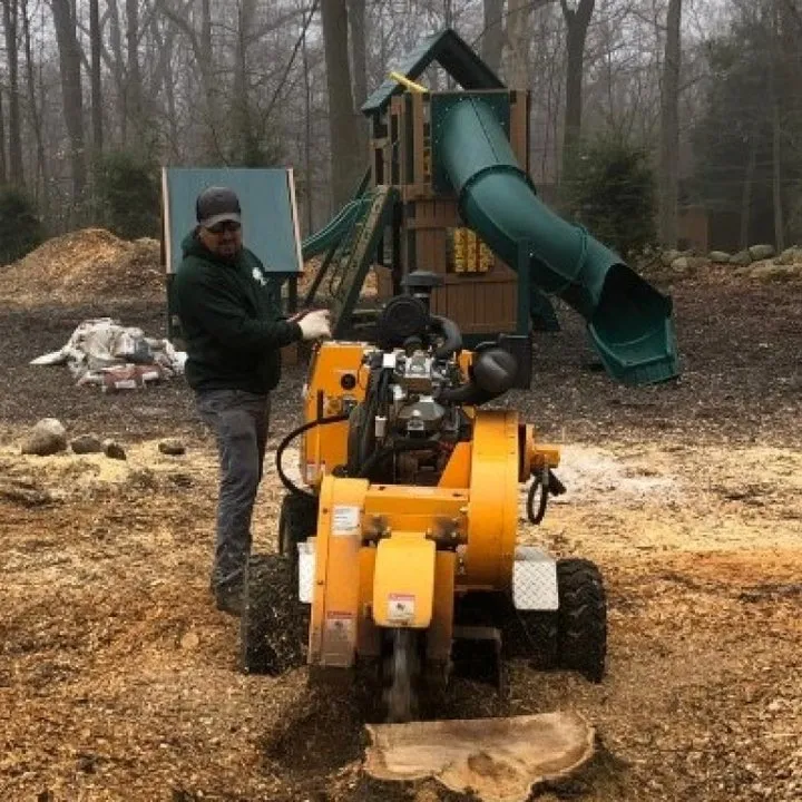 Trusted yard maintenance in Bedford Hills, NY - Jeovany's Tree Service