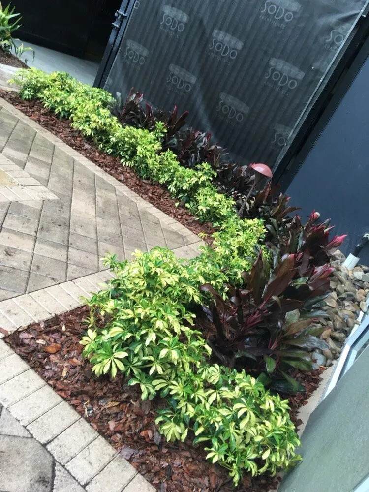 Reliable lawn care service in Orlando, FL - Jeps Lawn Care & Landscaping