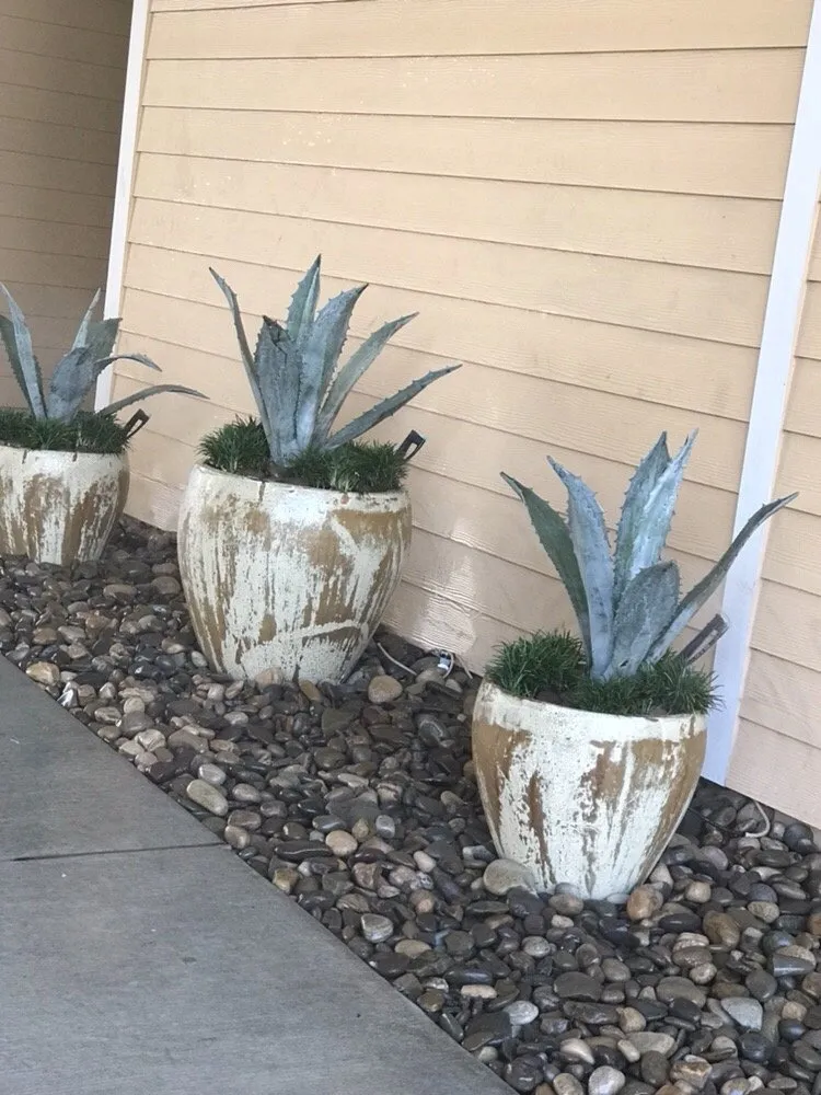 Professional lawn mowing service in Orlando, FL - Jeps Lawn Care & Landscaping