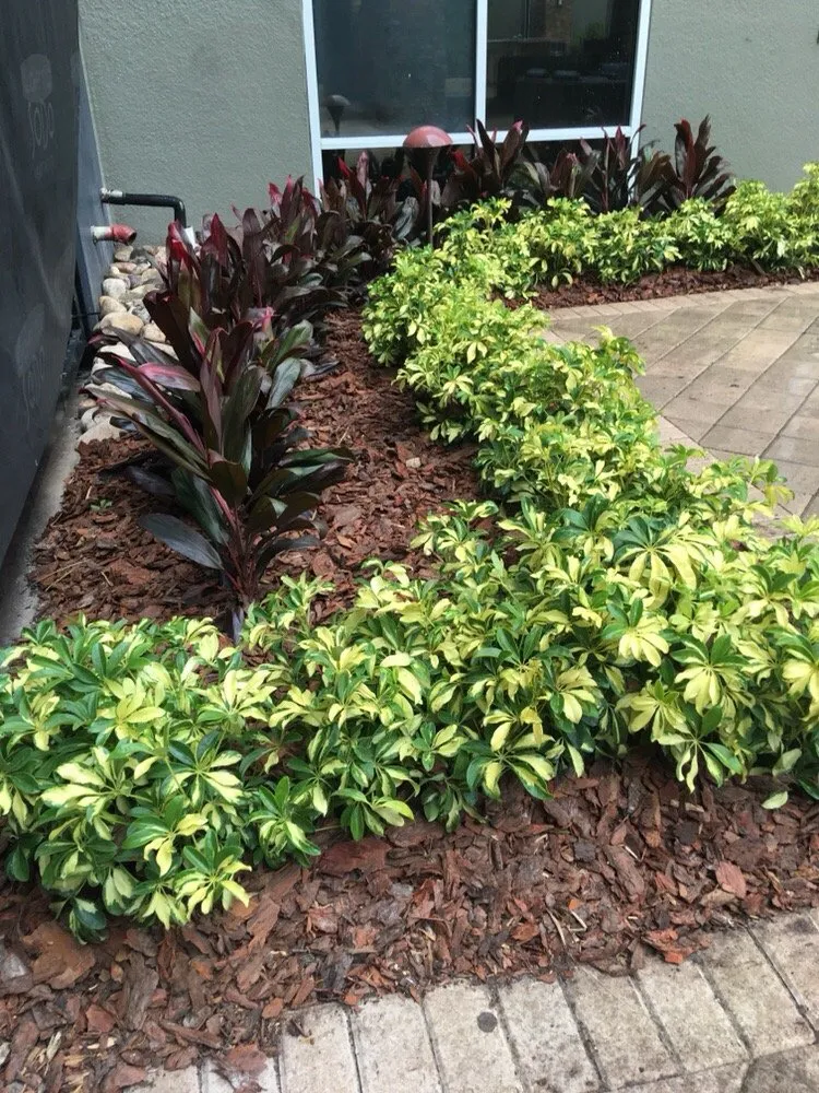 Custom residential landscaping for homes across Orlando, FL - Jeps Lawn Care & Landscaping