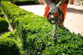 Expert yard cleanup service in Pacific Grove, CA by Jerardo's Landscaping
