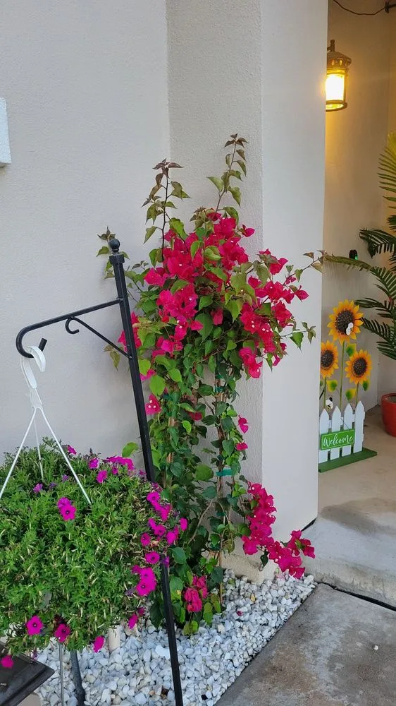 Top-rated yard cleanup service experts serving Salinas, CA - Jera's Gardening