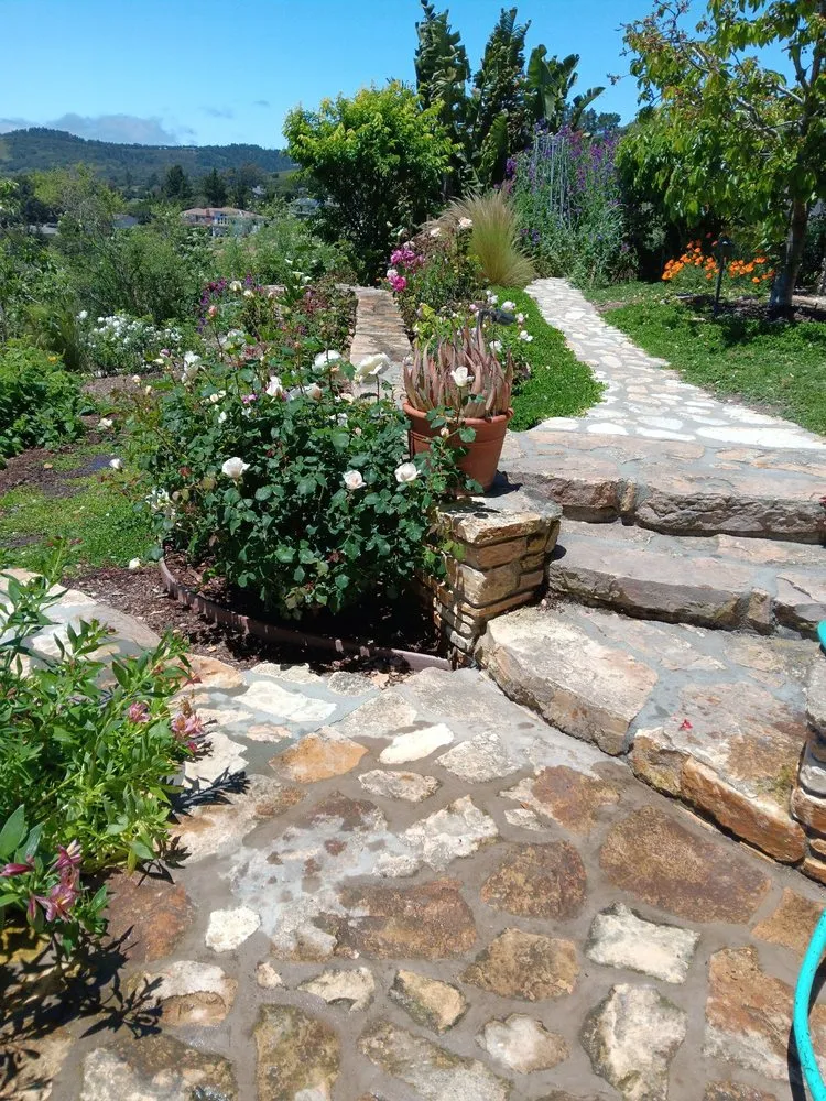 Top-rated yard maintenance in Salinas, CA by Jera's Gardening
