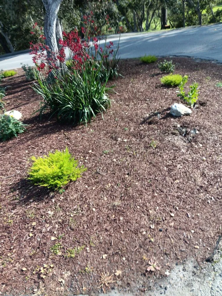 Professional lawn care service experts serving Salinas, CA - Jera's Gardening