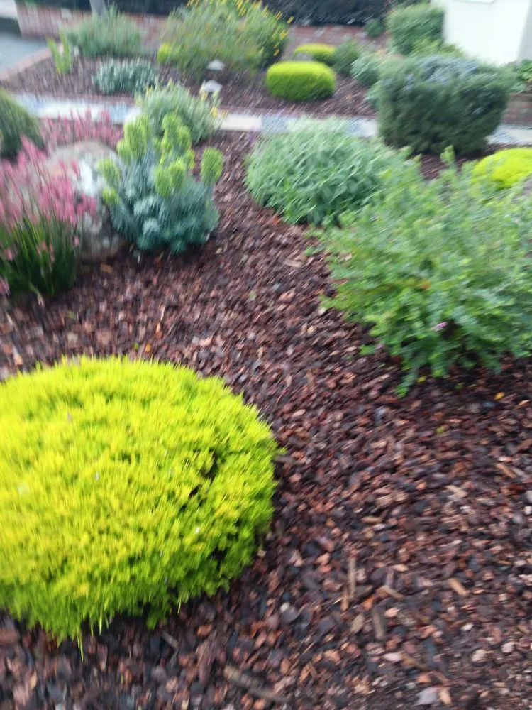 Local yard cleanup service in Salinas, CA by Jera's Gardening