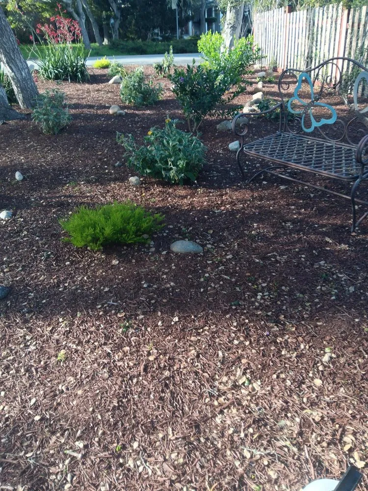 Trusted lawn mowing service for beautiful yards across Salinas, CA - Jera's Gardening