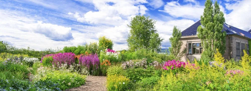 Reliable residential landscaping experts serving Annapolis, CA - Jeremiah Schmidt Landscape
