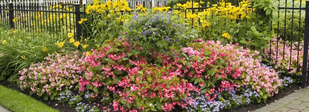 Custom residential landscaping with custom design in Annapolis, CA by Jeremiah Schmidt Landscape