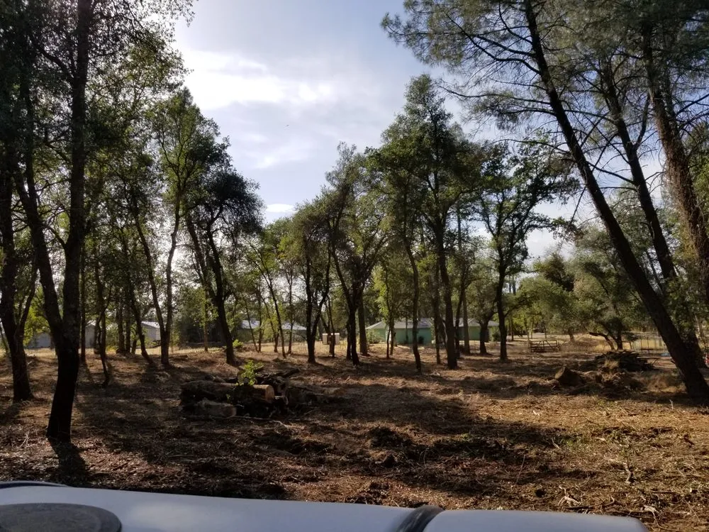 Affordable yard maintenance in Redding, CA - Jeremiah Wheeler Landscape & Gardening