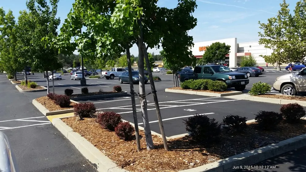 Professional landscape design for beautiful yards across Redding, CA - Jeremiah Wheeler Landscape & Gardening