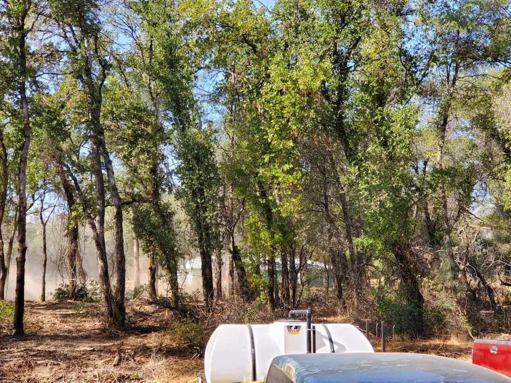 Professional lawn care service in Redding, CA - Jeremiah Wheeler Landscape & Gardening