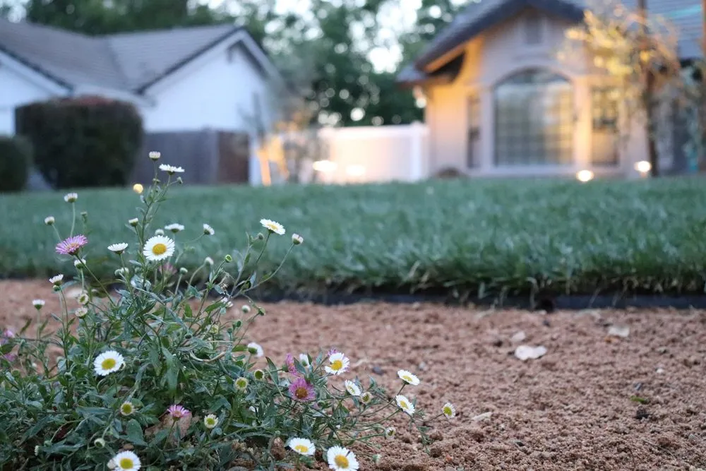 Expert residential landscaping for outdoor upgrades across Redding, CA - Jeremiah Wheeler Landscape & Gardening