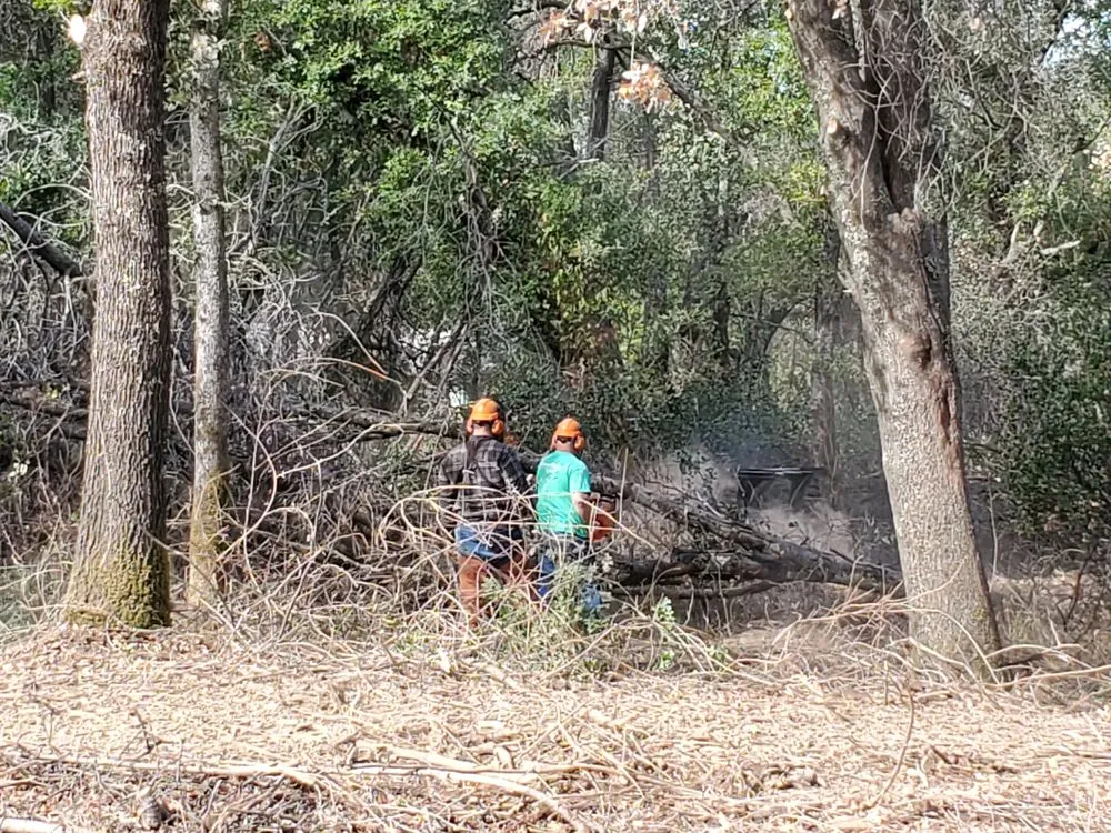 Custom garden landscaping near you in Redding, CA by Jeremiah Wheeler Landscape & Gardening