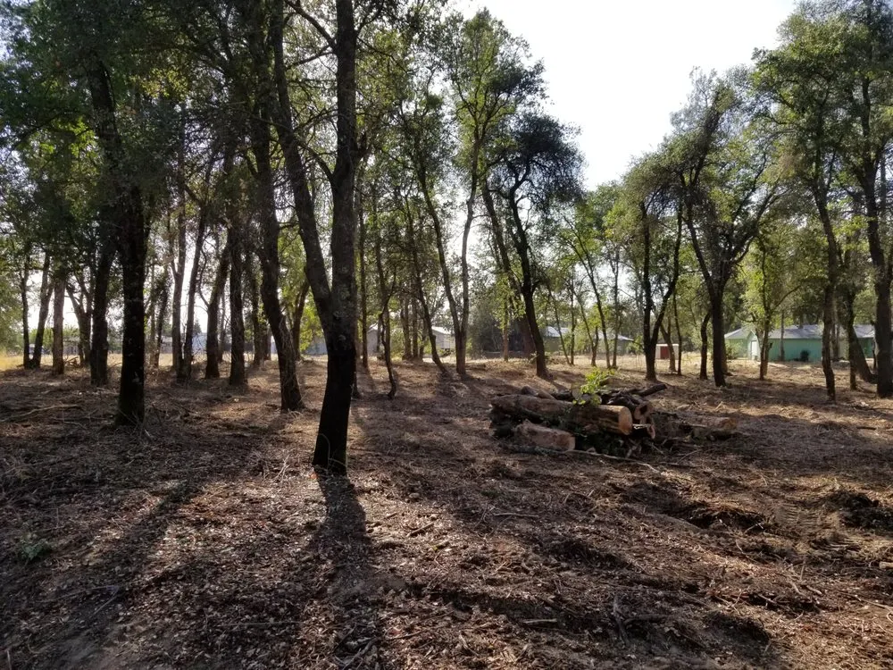 Top-rated lawn care service for beautiful yards across Redding, CA - Jeremiah Wheeler Landscape & Gardening