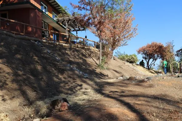 Jeremiah Wheeler Landscape & Gardening