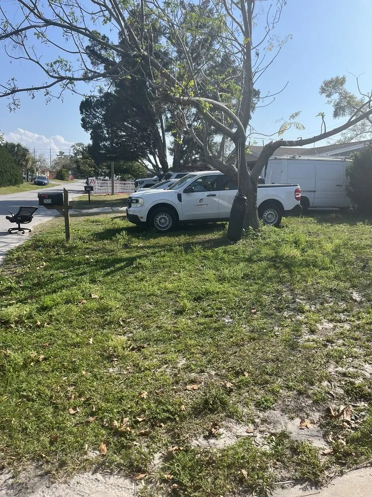 Expert landscape installation in Holiday, FL by Jeremiah's Lawn service
