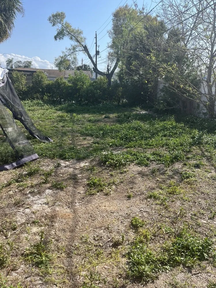 Local outdoor landscaping in Holiday, FL - Jeremiah's Lawn service